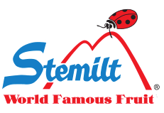 Stemilt Logo